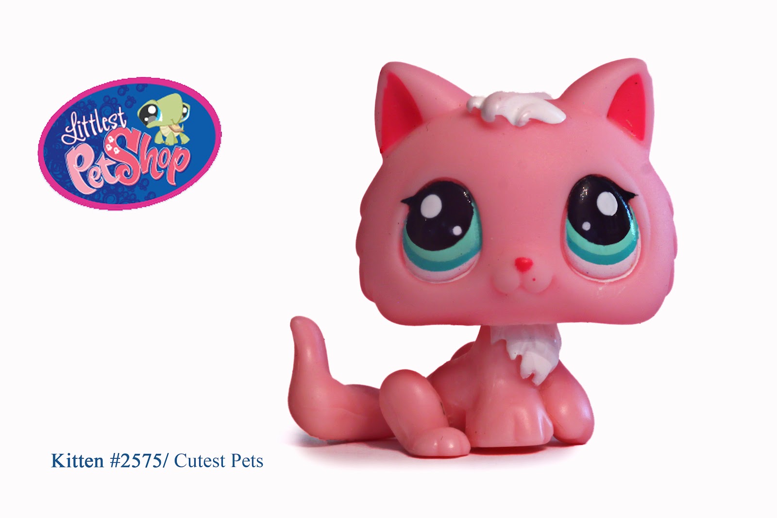 Littlest Pet Shop is a Canadian–American children's animated television series developed by Julie McNally-Cahill and Tim Cahill for Hasbro Studios. Based on the Littlest Pet Shop and Blythe toys owned by Hasbro, the show follows Blythe Baxter, a teenage girl who, after moving into an apartment in a metropolitan area, gains the ability to.